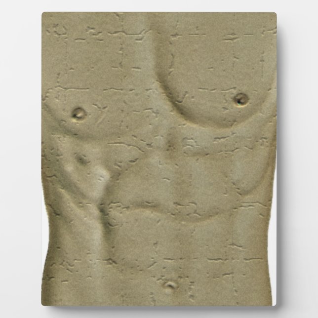Abs Plaque (Front)