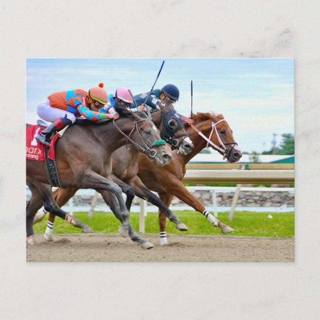 Absentee- Irad Ortiz jr.  Camgo, Irish Roar Postcard (Front)