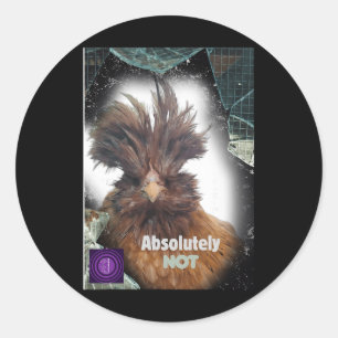 Absolutely Not Funny Chicken Design Sarcastic L At Classic Round Sticker