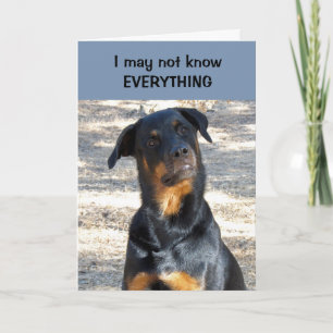 Absolutely Sure Rottweiler Valentine's Day Card