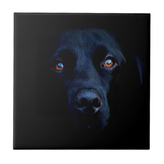 Abstract Animal Dark Dog Ceramic Tile
