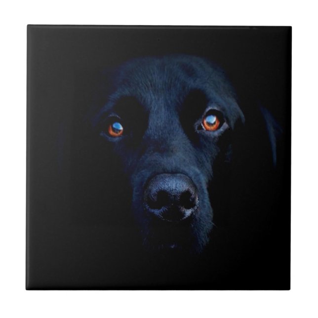 Abstract Animal Dark Dog Ceramic Tile (Front)