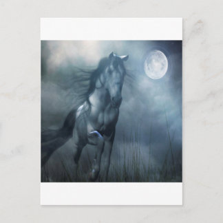 Abstract Animal Moonlight Horse Postcard