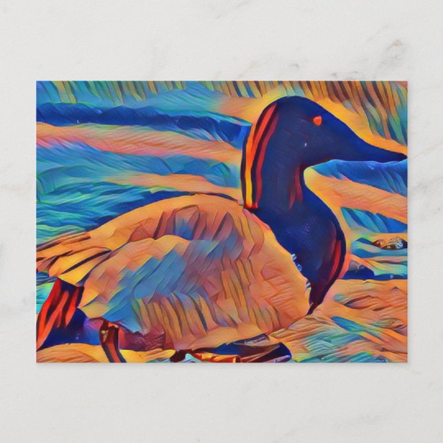 Abstract Art Canvasback Duck Postcard (Front)