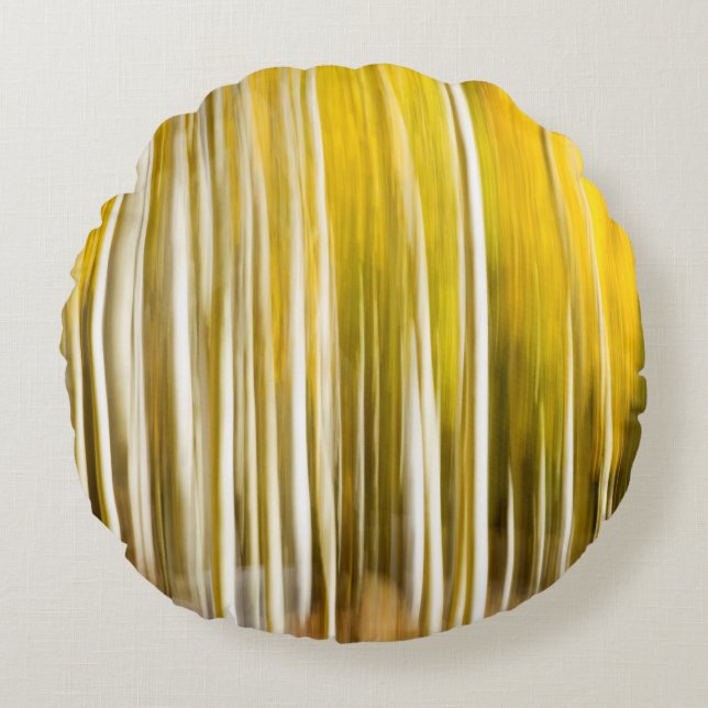 Abstract Aspen's Round Cushion (Front)