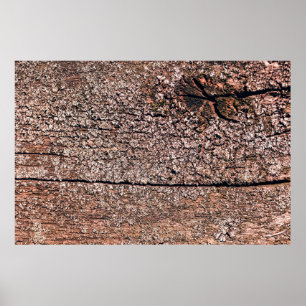 abstract background from old wood texture closeupa poster