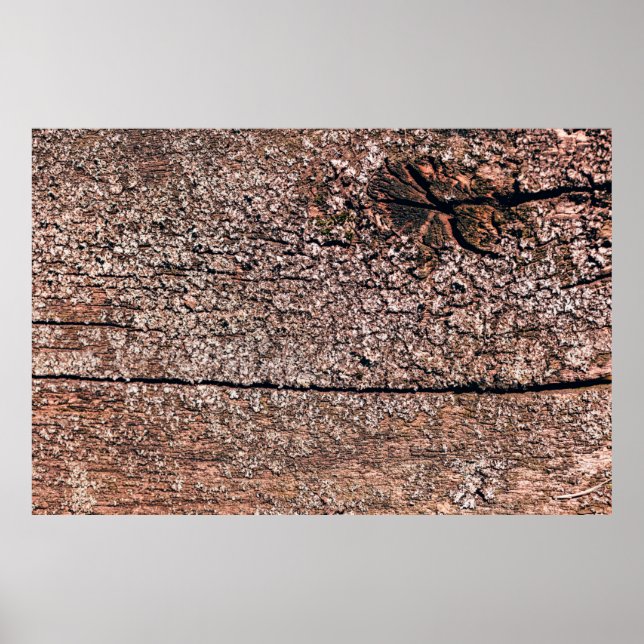 abstract background from old wood texture closeupa poster (Front)