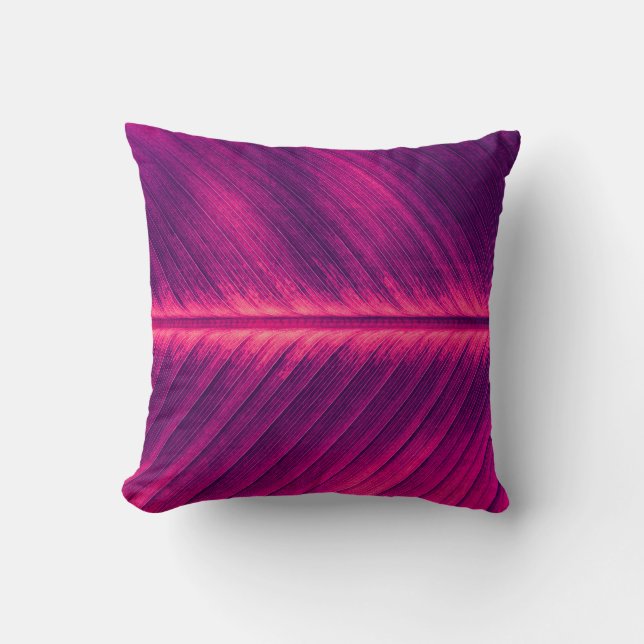 abstract background,  palm leaf vein,  toned proce cushion (Front)