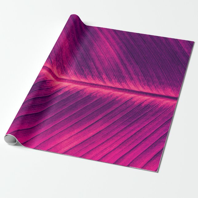 abstract background,  palm leaf vein,  toned proce wrapping paper (Unrolled)