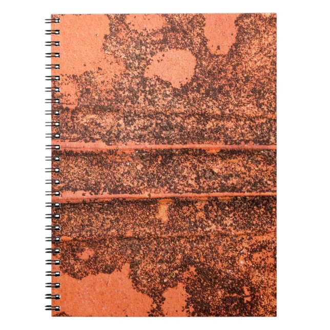 Abstract background textureabstract, aged, antique notebook (Front)