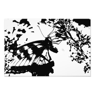 Abstract Black and White Butterfly Print