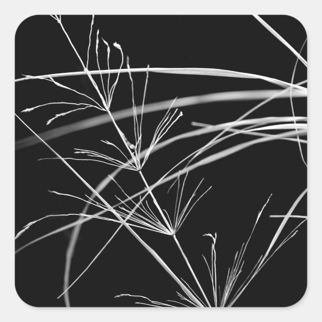 Abstract Black and White Nature Stickers (Front)