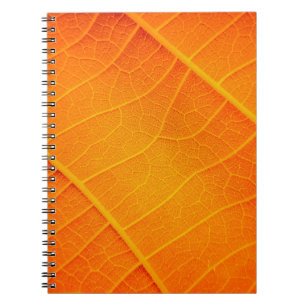 Abstract closeup of an orange and yellow leaf text notebook