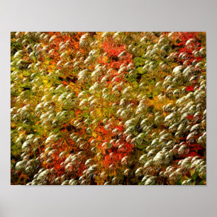 Abstract Colours And Bubbles  Poster