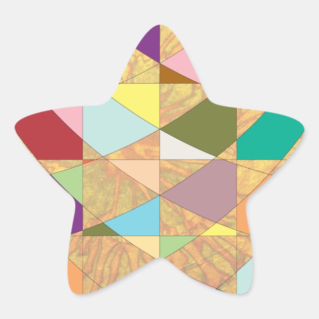 Abstract Colours Sun Burst Star Sticker (Front)