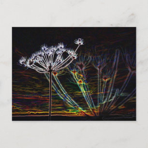 Abstract Cow Parsley post card