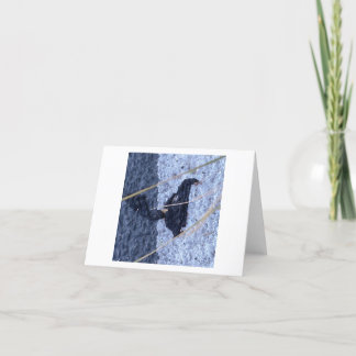 Abstract Crow Thank You Card