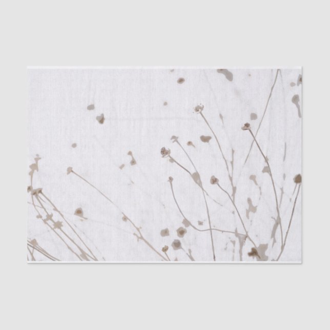 Abstract Dried Daisies Graphic Subtle White Taupe Tissue Paper (Front)