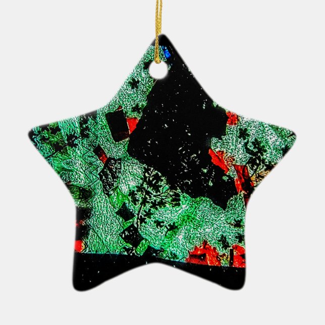Abstract dry flower Ornament star recycled plastic (Front)
