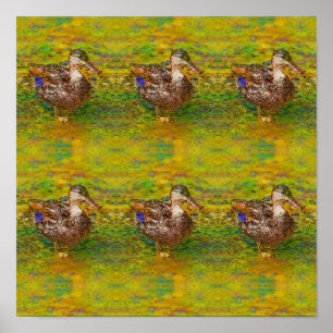 Abstract Ducks In A Row Colour Photo Sketch Art Poster