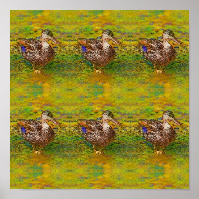 Abstract Ducks In A Row Colour Photo Sketch Art Poster (Front)