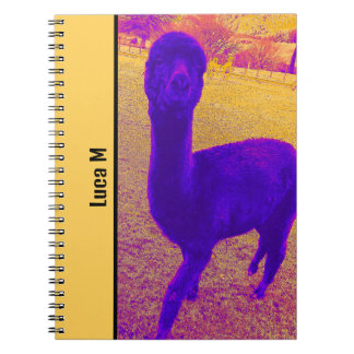 ABSTRACT EYE-CATCHING BRIGHT ALPACA IMAGE CUSTOM NOTEBOOK
