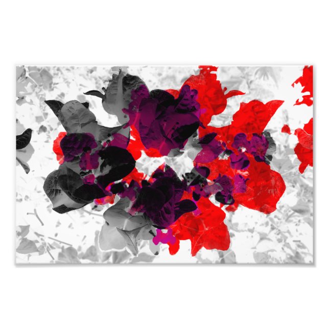 Abstract floral design - red and purple over white photo print (Front)