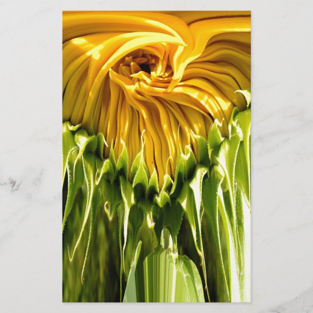 Abstract funky retro Sunflower, scared geometry  (Front)