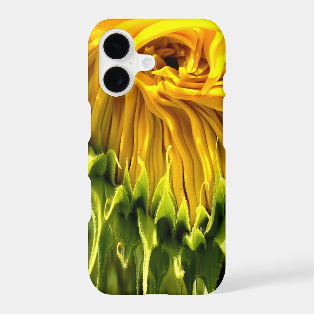 Abstract funky retro Sunflower, scared geometry  (Back)