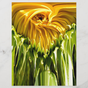 Abstract funky retro Sunflower, scared geometry 
