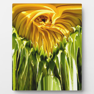 Abstract funky retro Sunflower, scared geometry  Plaque