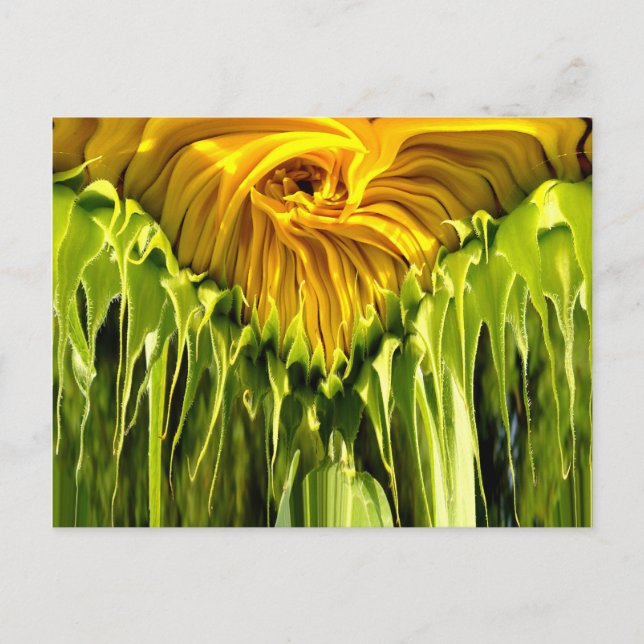 Abstract funky retro Sunflower, scared geometry  Postcard (Front)
