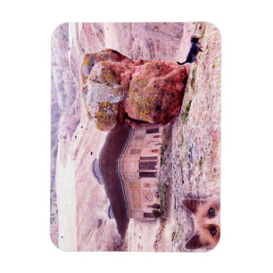 Abstract Funny Collage 3"x4" Photo Magnet