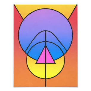 Abstract Geometric Circles Line Colorful Poster