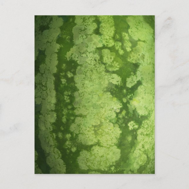 Abstract Green Rind of a Watermelon Postcard (Front)