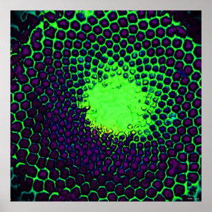 Abstract Honeycomb Design green and purple Poster