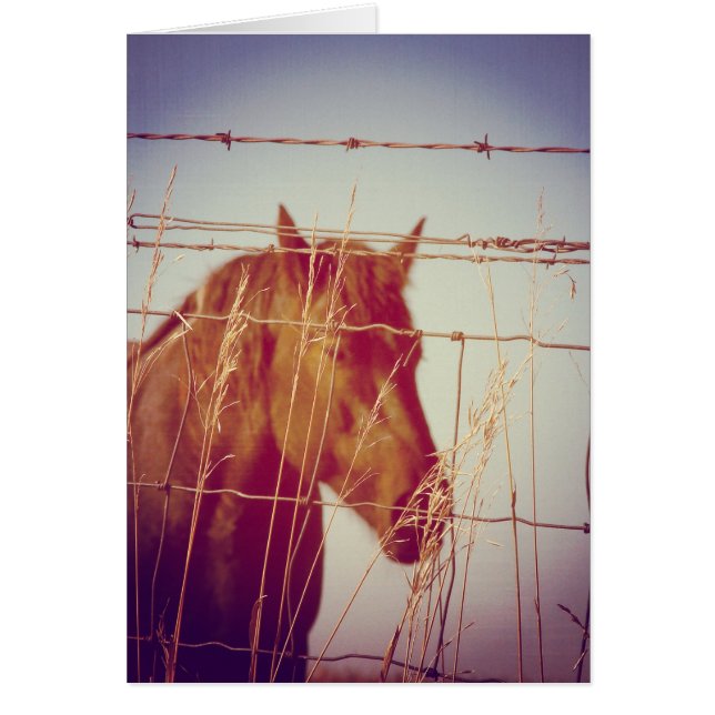 Abstract Horse Behind the Fence (Front)