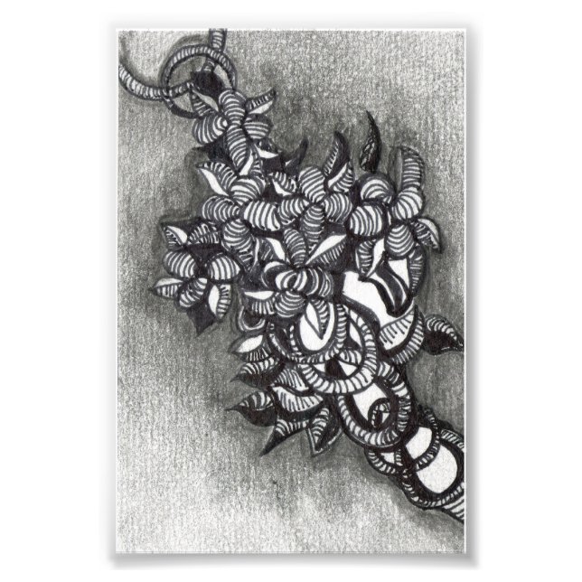 Abstract Inspired. A Cluster of Tangles Photo Print (Front)