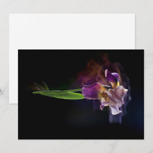 Abstract Iris Flower – Elegant Floral Art Holiday Card