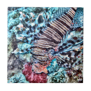 Abstract Lion Fish Ceramic Tile