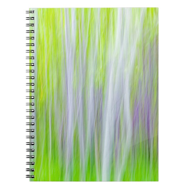 Abstract of Aspen Trees | Yakima River Trail, WA Notebook (Front)