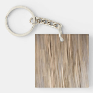 Abstract of Autumn Key Ring
