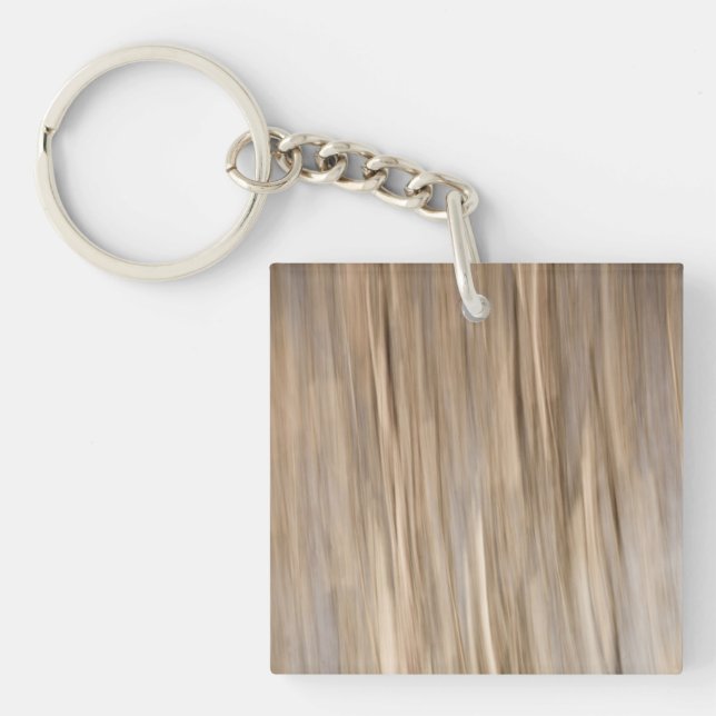 Abstract of Autumn Key Ring (Front)