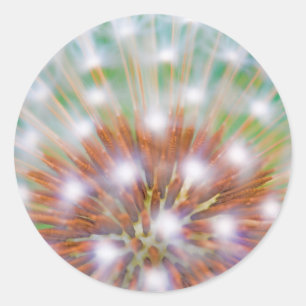 Abstract of dandelion seed head classic round sticker