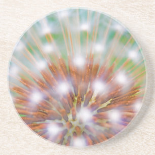 Abstract of dandelion seed head coaster