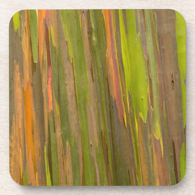 Abstract Of Eucalyptus Bark Coaster (Front)