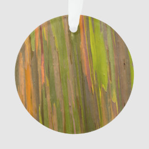 Abstract Of Eucalyptus Bark Ornament
