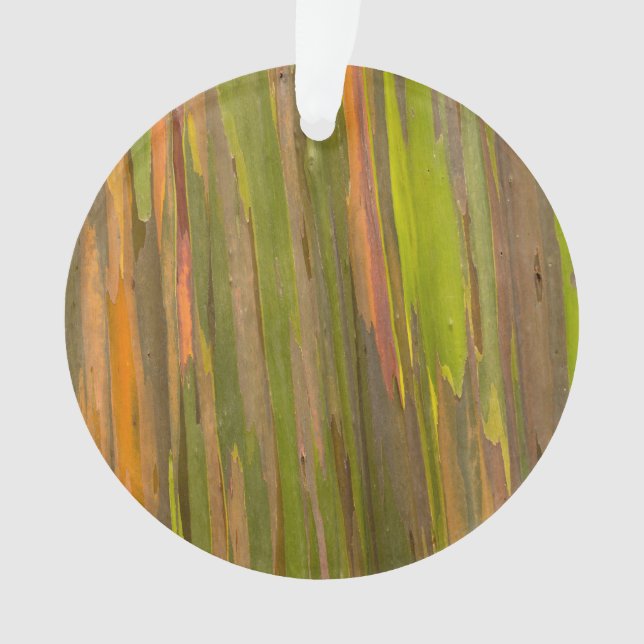 Abstract Of Eucalyptus Bark Ornament (Front)