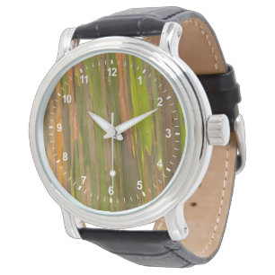 Abstract Of Eucalyptus Bark Watch