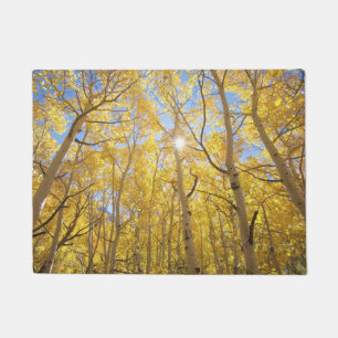 Abstract of Gilia Amidst Wildflowers California Doormat